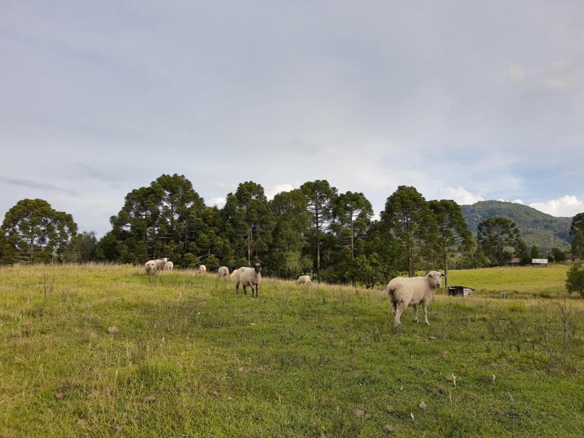 Fazenda Tamandua Casa De Campo - Cabana Coragem Villa Rio Rufino Dış mekan fotoğraf