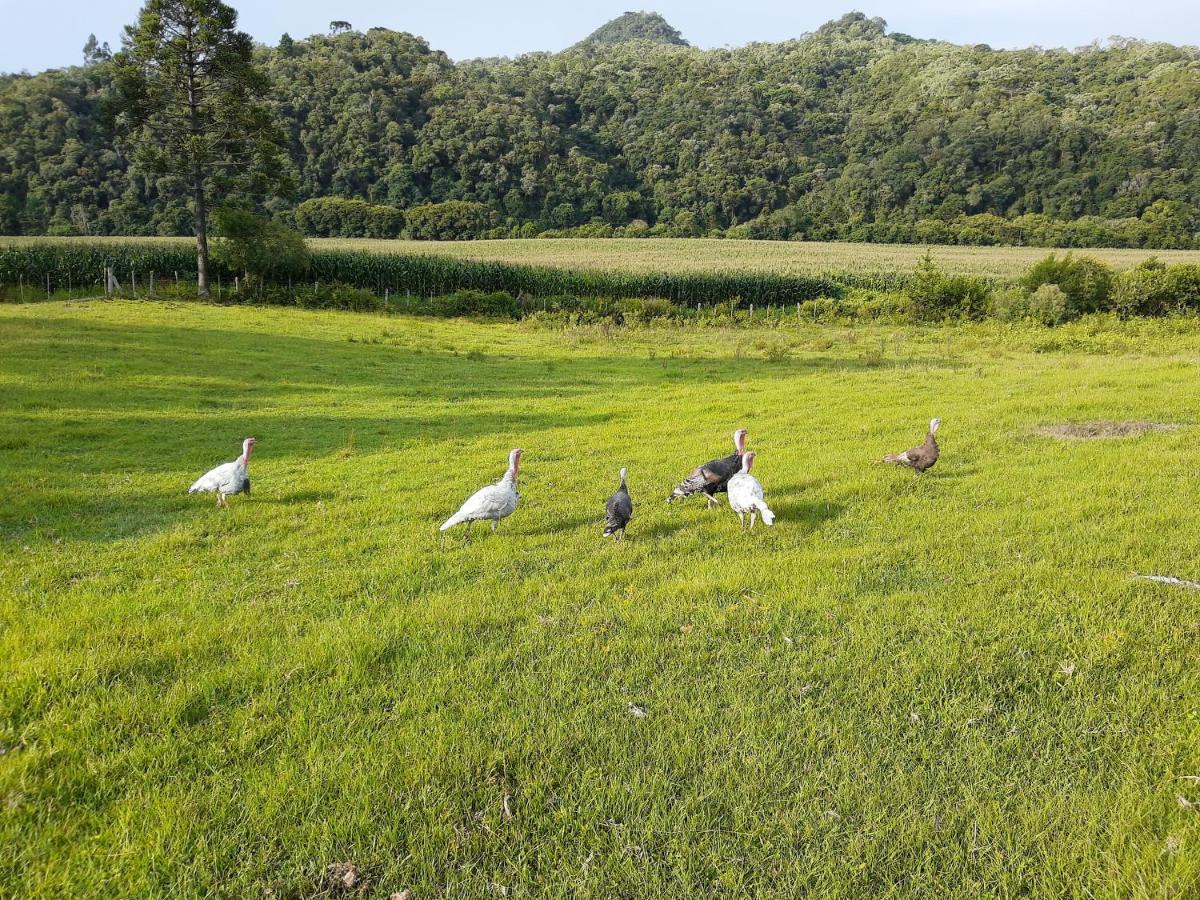 Fazenda Tamandua Casa De Campo - Cabana Coragem Villa Rio Rufino Dış mekan fotoğraf